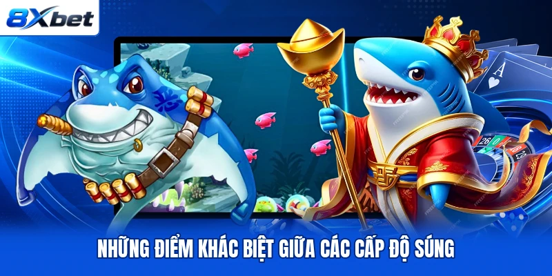 Những điểm khác biệt giữa các cấp độ súng